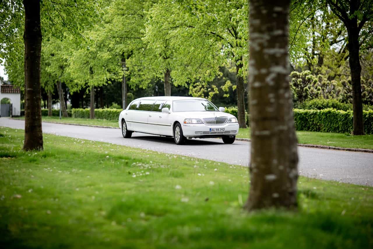 white limousine on a street